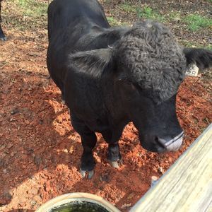 Meet your Posher, Fred